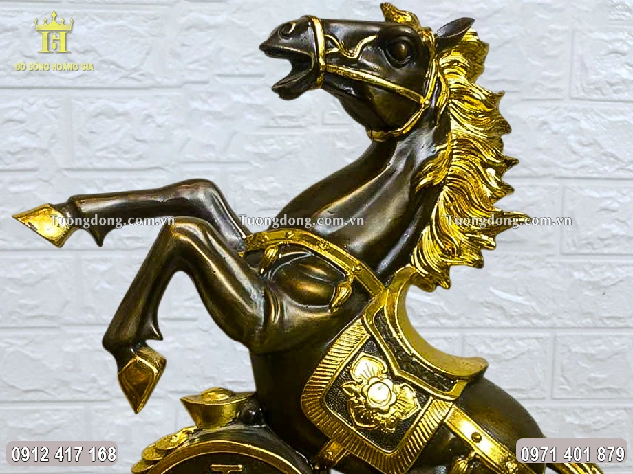 Đôi mắt ngựa mở to, đôi tai dựng đứng thể hiện sự tập trung cao độ